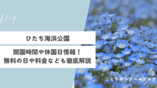ひたち海浜公園の開園時間や休園日、入場料やフリーパスまで徹底解説！