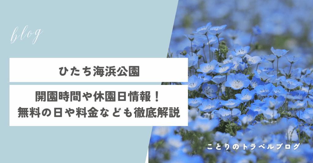 ひたち海浜公園の開園時間や休園日、入場料やフリーパスまで徹底解説！